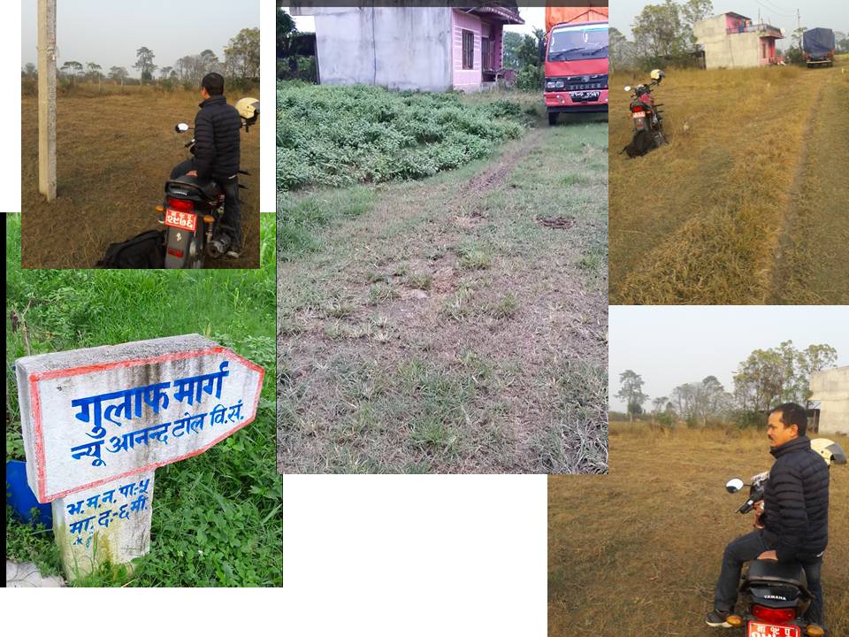 Picture of Bharatpur Metropolitan City, Bagmati